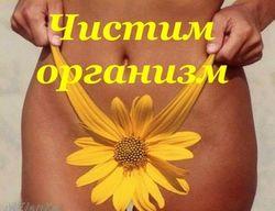 как вывести шлаки из организма